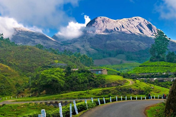 7-Days Kerala Luxury Tour From Cochin - Accommodation Options