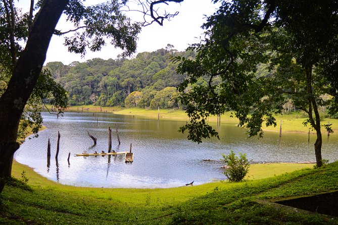 7 Days Kerala Tour- Munnar, Periyar, Houseboat & Varkala Beach - Munnar to Thekkady Journey