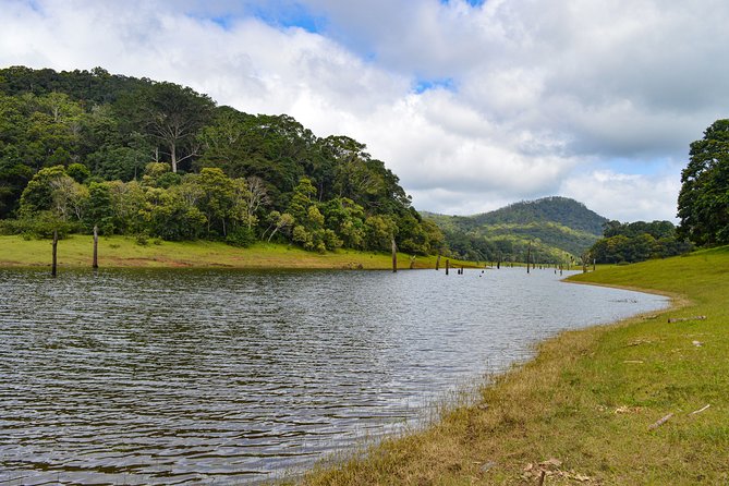 7 Days Kerala Tour- Munnar, Periyar, Houseboat & Varkala Beach - Houseboat Experience in Alleppey