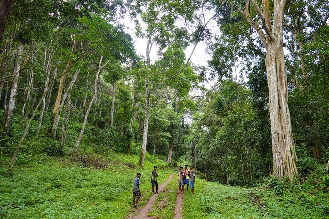 7 Days Kerala Tour- Munnar, Periyar, Houseboat & Varkala Beach - Varkala Beach Exploration