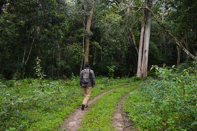 7 Days Kerala Tour- Munnar, Periyar, Houseboat & Varkala Beach - Inclusions and Exclusions