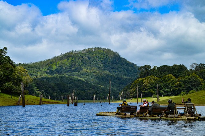 7 Days Kerala Tour- Munnar, Periyar, Houseboat & Varkala Beach - Travel Comfort and Recommendations