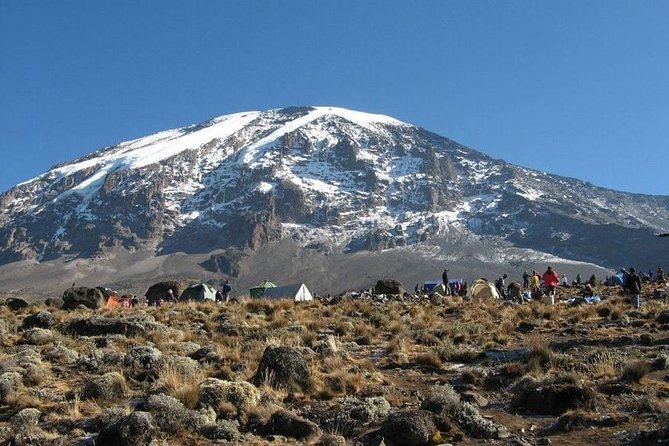 7 Days Kilimanjaro Climb Machame Route - Post-Climb Experiences