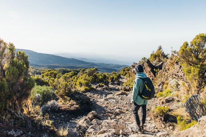 7 Days Kilimanjaro Trek via Machame Route - Safety and Medical Support