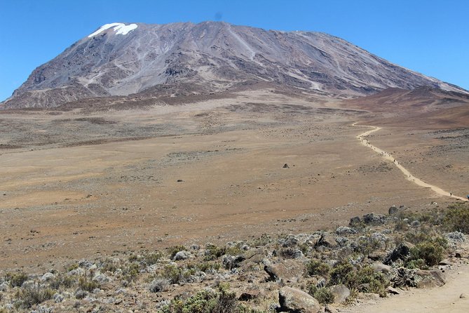 7 Days Lemosho Route - About Wild Root Safaris and Adventures