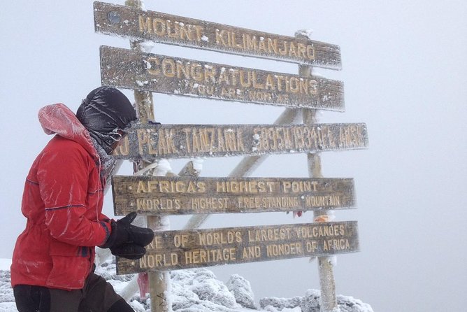 7 Days Lemosho Route Climbing Mt.Kilimanjaro - Climbing Kilimanjaro on Lemosho
