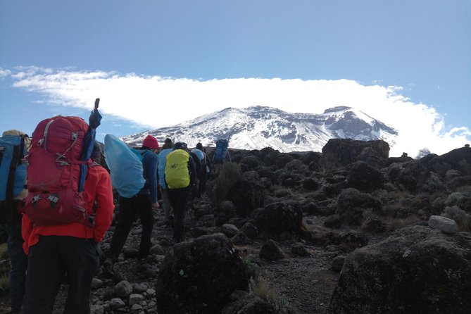 7 Days Lemosho Route Climbing Mt.Kilimanjaro - Preparing for the Kilimanjaro Trek