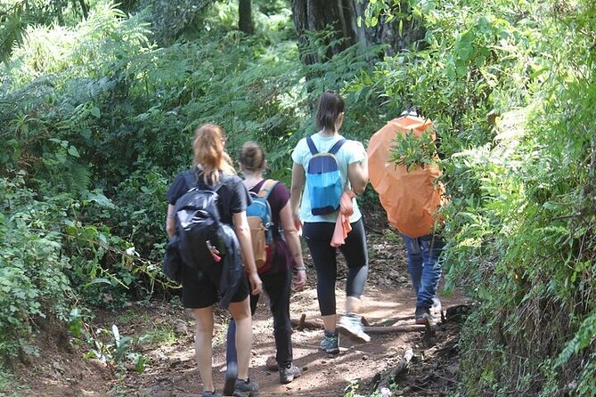 7 Days Lemosho Route Kilimanjaro Climbing | Solely Tours - Why Choose This Tour