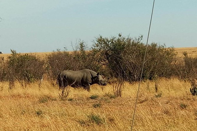 7 Days Maasai Mara - Lake Nakuru - Lake Naivasha- Amboseli Safari. - Accommodation Options