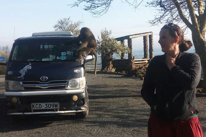 7 Days Maasai Mara - Lake Nakuru - Lake Naivasha - Amboseli Safari - Traveler Reviews and Feedback