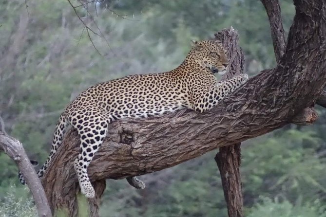 7 Days Maasai Mara National Park , Amboseli Parks and Nakuru Safaris - Accommodation Details