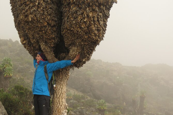 7 Days Machame Route Kilimanjaro Climb Group Joining - Packing Essentials