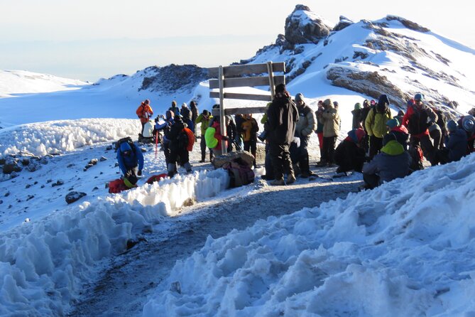 7 Days Machame Route Kilimanjaro Hiking ( Climbing ) Tour - Itinerary for the 7-Day Hike