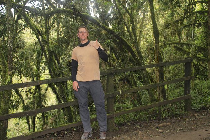 7 Days Machame Route Kilimanjaro Hiking ( Climbing ) Tour - Testimonials From Previous Participants