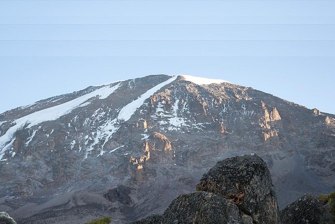 7 Days Machame Route Trek Mount Kilimanjaro - Colobus Monkeys and Ferns
