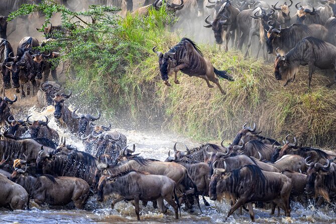 7 Days Magical Northern Tanzania With Roy Safaris - Lake Manyara National Park