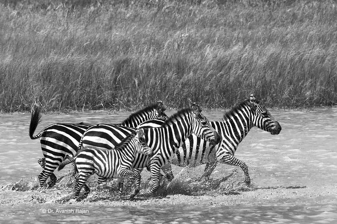 7 Days Magical Northern Tanzania With Roy Safaris - Ngorongoro Crater
