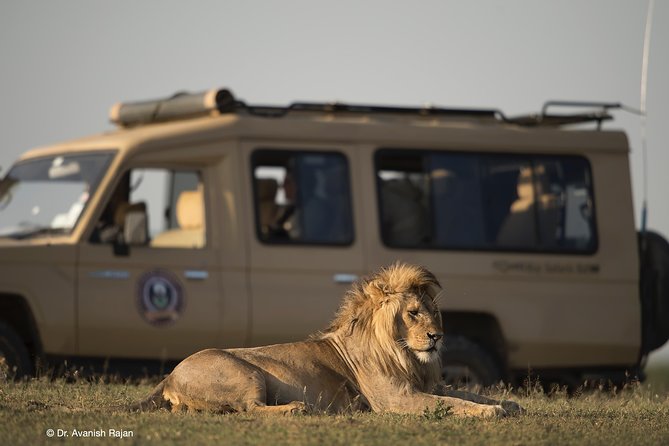 7 Days Magical Northern Tanzania With Roy Safaris - Included Amenities