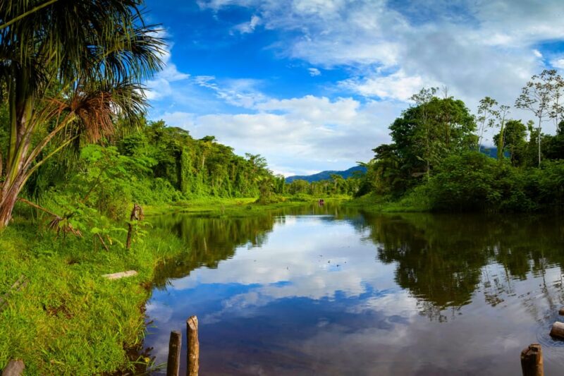 7 Days Manu Reserve Zone - Accommodations
