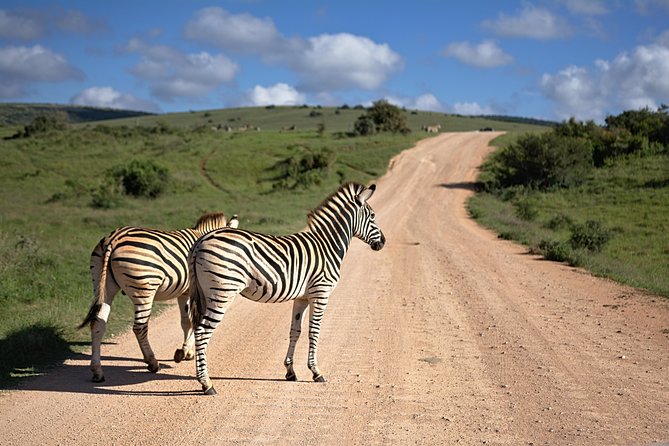 7 Days Mara/L.Naivasha/L.Nakuru/Amboseli - Accommodation Options