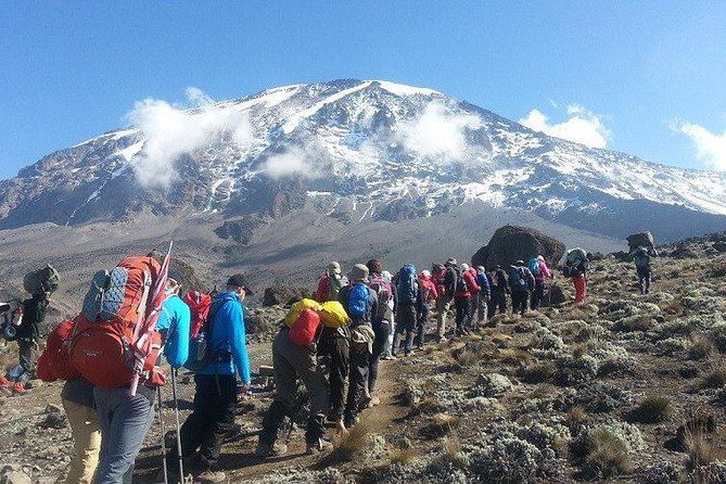 7 Days Mount Kilimanjaro Climb Lemosho Route - Inclusions