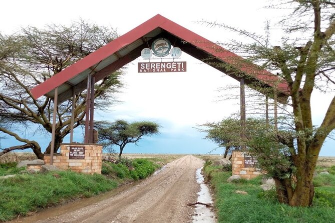 7 Days Mt Kilimanjaro,Tarangire Np, Ngorongoro, Serengeti Np, Lake Manyara NP - Pickup Information