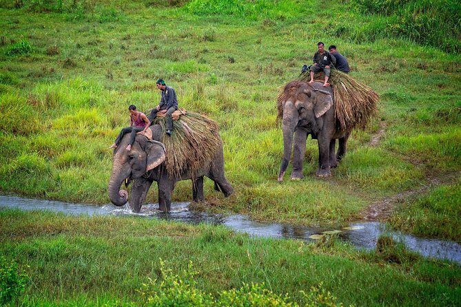 7 Days Nepal Adventure Tour - Meeting and Pickup Details