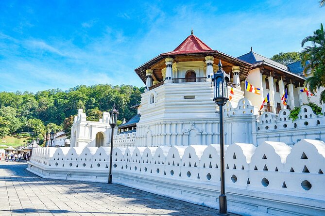 7 Days Private Guided Tour in Around Sri Lanka - Exploring Negombo