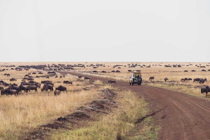 7-Days Private Jeep Safari Tour in 5 Star Luxury Lodge From Nairobi - Balloon Safari
