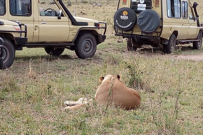 7-Days Private Jeep Safari Tour in 5 Star Luxury Lodge From Nairobi - Cancellation and Reviews