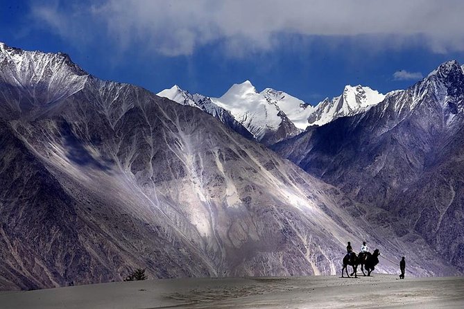 7 Days Private Ladakh Tour - Simply Awesome - Accommodation and Meals
