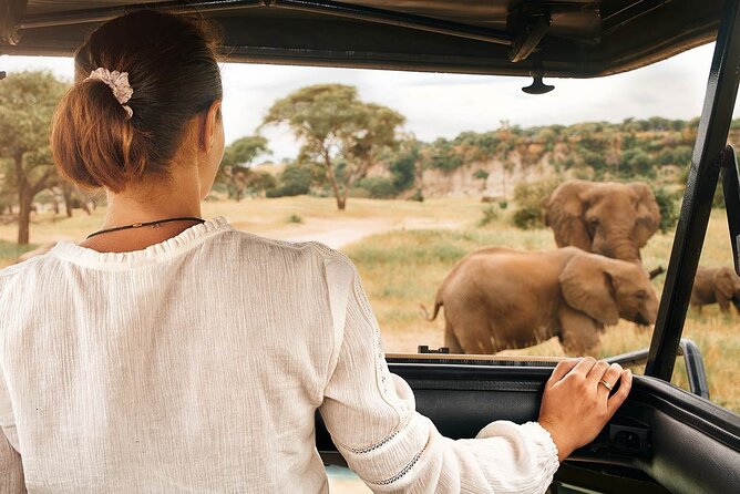 7-Days Private Midrange Safari; Serengeti & Ngorongoro Crater - Dining Experience