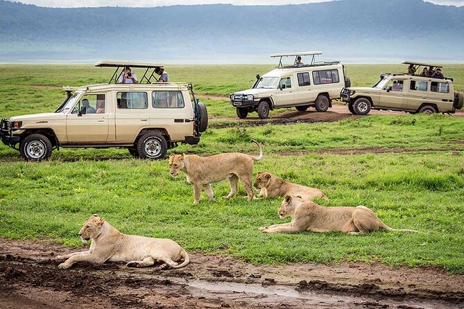 7-Days Private Midrange Safari; Serengeti & Ngorongoro Crater - Guide and Support