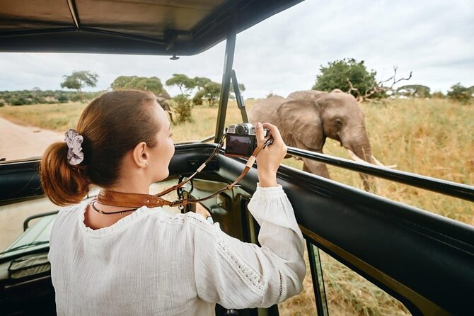 7-Days Private Midrange Safari; Serengeti & Ngorongoro Crater - Traveler Reviews