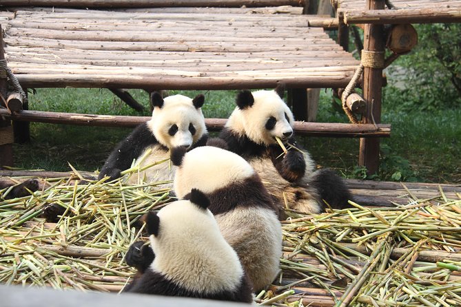 7 Days Private Tour to Chengdu,Xian and Beijing - Booking and Payment