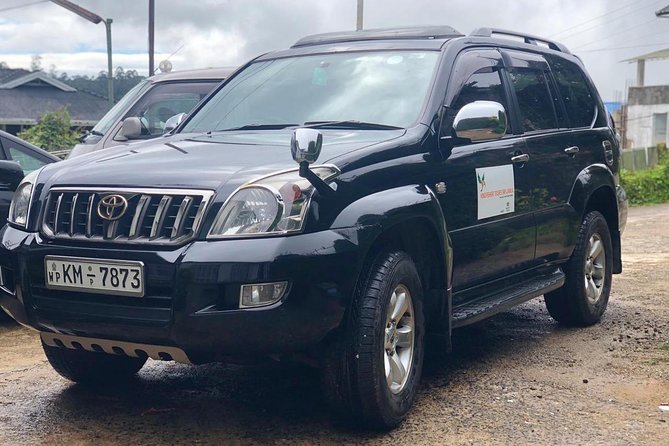 7 Days Private Transportation in Sri Lanka With Guide - Safety and Reliability