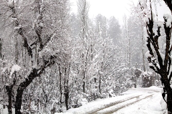 7 Days Private Travel Psychology Journey to Unseen Kashmir - Destination Highlights