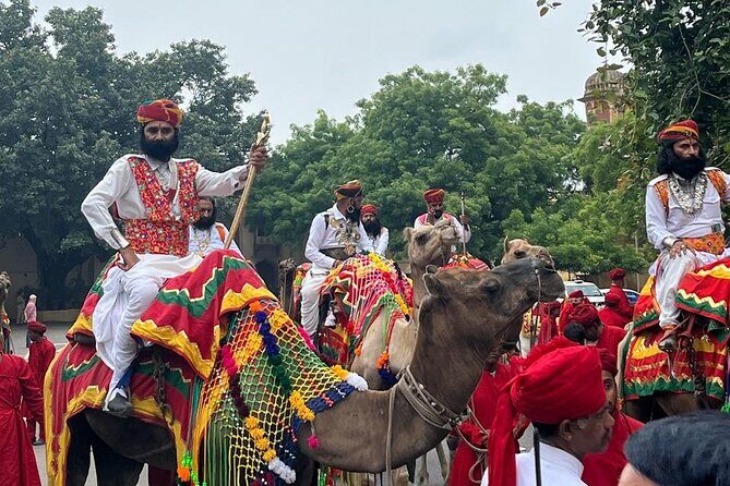 7 Days Ranthambore Tiger Safari and The Golden Triangle Tour - What Makes This Tour Stand Out?