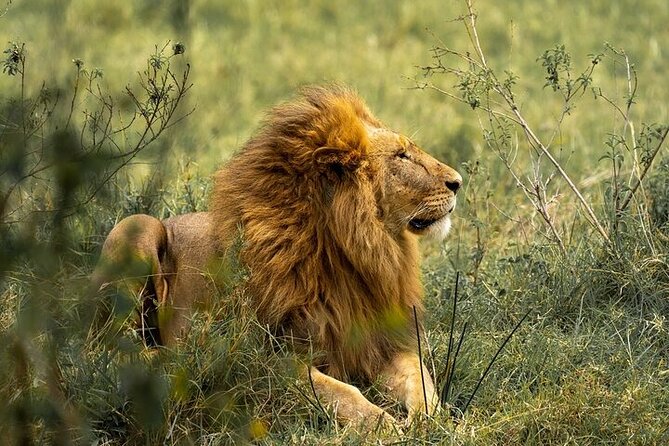 7 Days Rhino Ngorongoro Crater Safari Tour - Exclusions