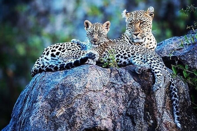 7 Days Rhino Ngorongoro Crater Safari Tour - Pickup Information