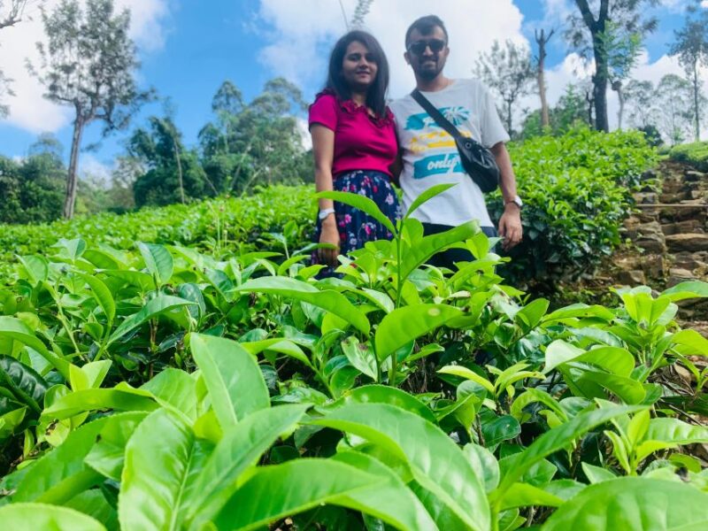 7 Days Round Tour in Sri Lanka - Optional Activities and Costs