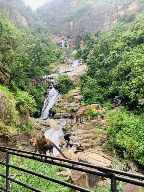 7 Days Round Tour in Sri Lanka - Pickup and Transportation