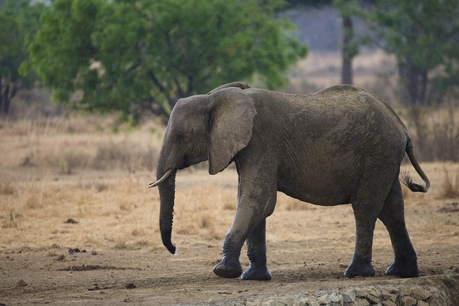 7 Days Safari. Serengeti, Tarangire, Lake Manyara & Ngorongoro Crater. - Accessibility and Suitability