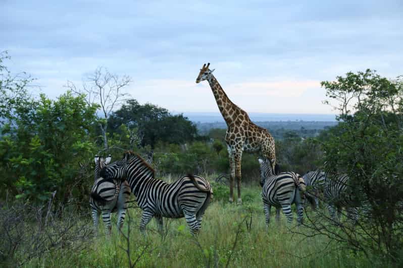 7 Days South Africa and Eswatini Adventure Tour - Key Points