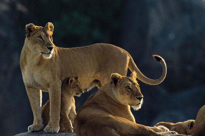 7 Days Tanzania Luxury Safaris - Pricing and Cancellation