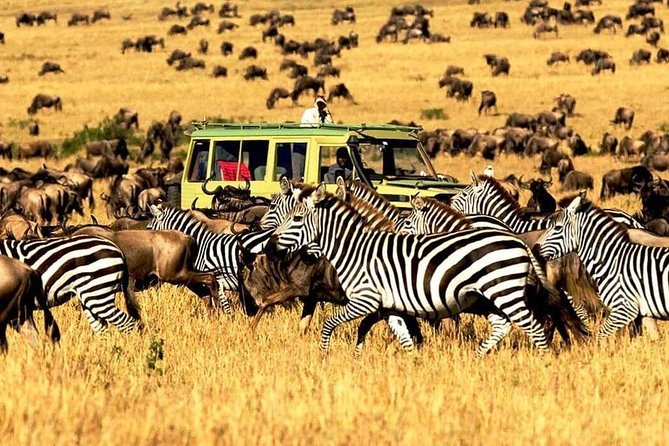 7 Days Tanzania Luxury Safaris - Inclusions
