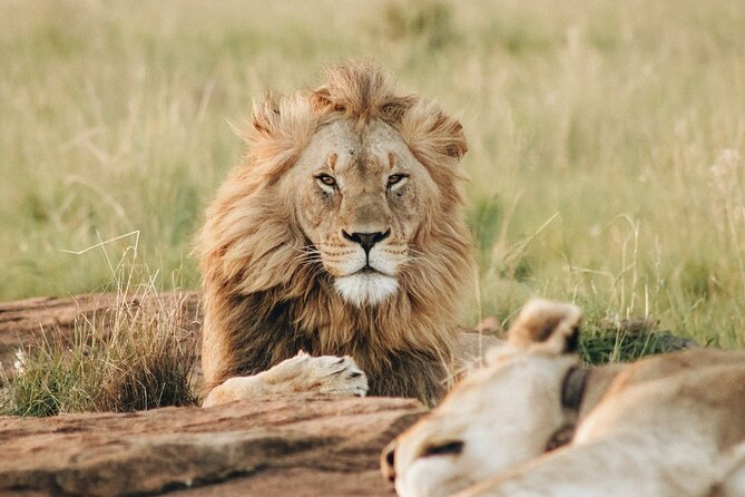 7 Days Tanzania Luxury Safaris - Destination Highlights