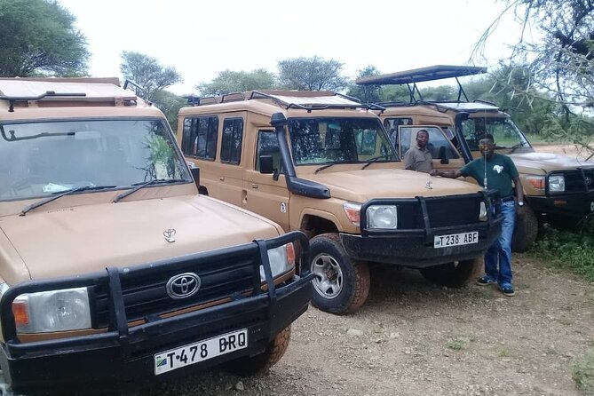 7 Days Tanzania Mid-Range Lodge Safari - Transportation and Logistics