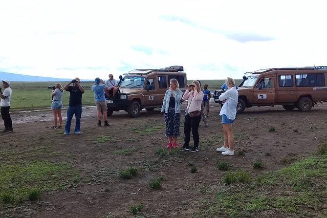 7 Days Tanzania Mid-Range Lodge Safari - Not Included in the Tour