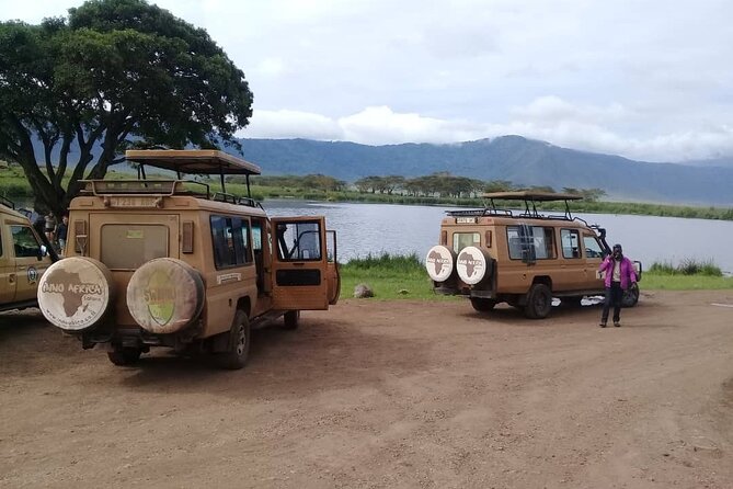 7 Days Tanzania Mid-Range Lodge Safari - Reviews and Ratings
